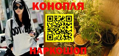 крисы Чебаркуль